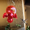 hummingbird1-small
